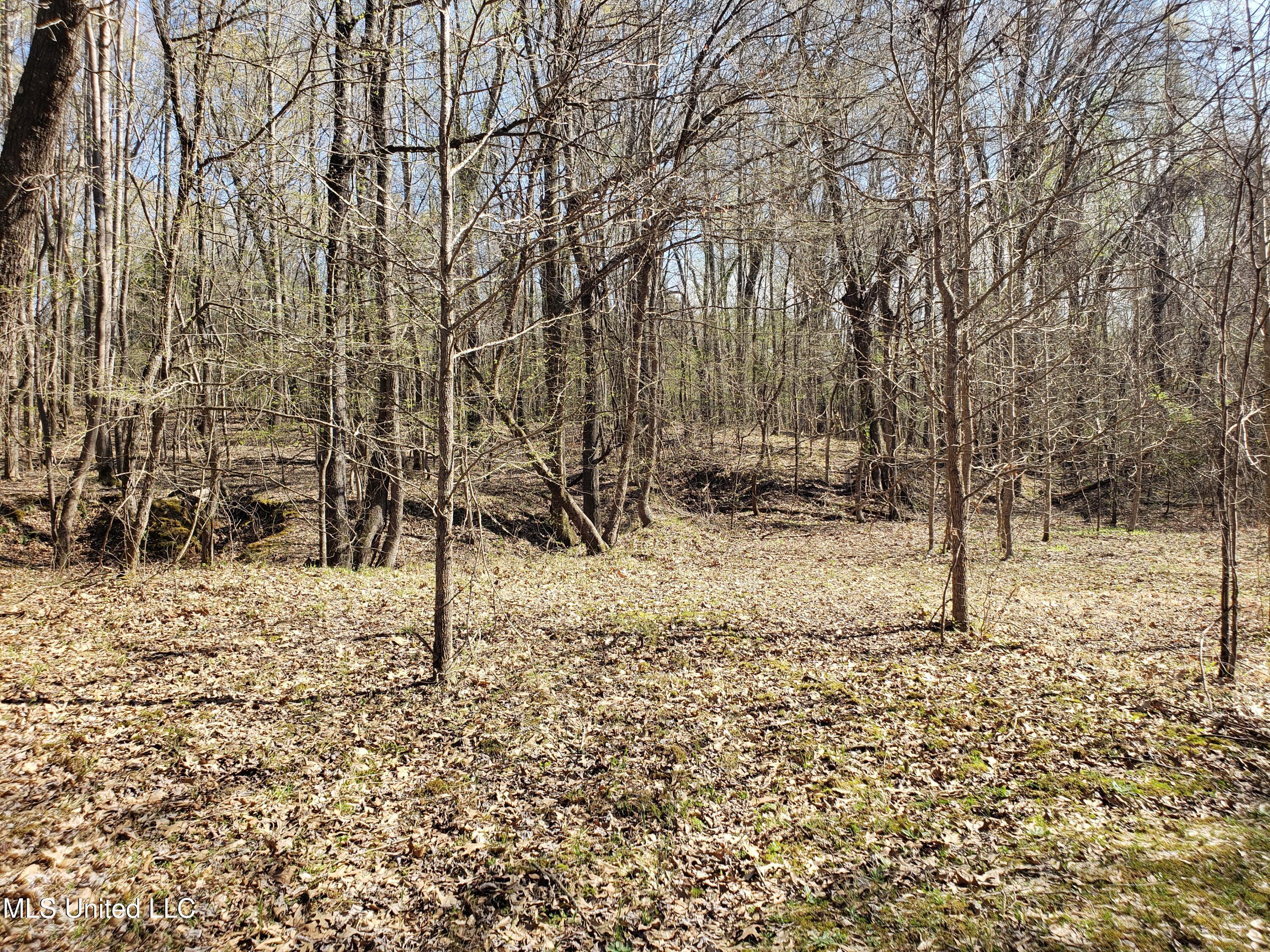 Hogfoot Road Senatobia, MS 38668 - Photo 141 of 145 20250326_155645