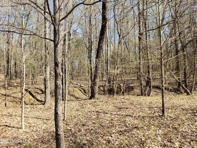 $2,541,000 | Hogfoot Road, Senatobia, MS 38668