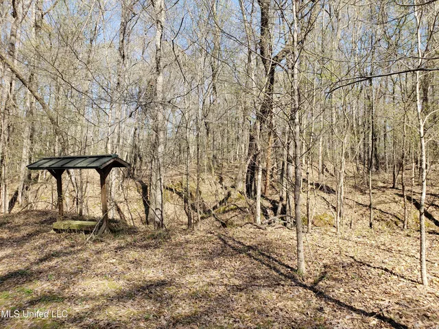 $2,541,000 | Hogfoot Road, Senatobia, MS 38668