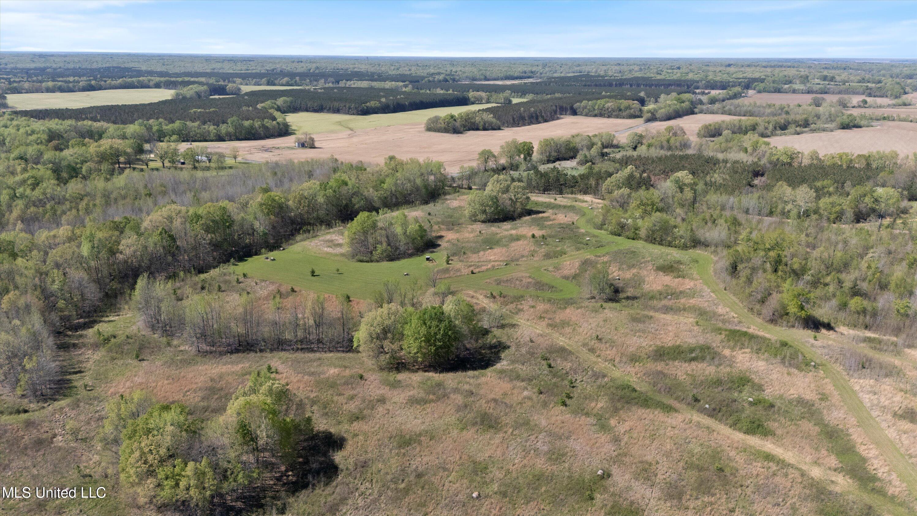 Hogfoot Road Senatobia, MS 38668 - Photo 16 of 145 16-DJI_20250407151315_0112_D