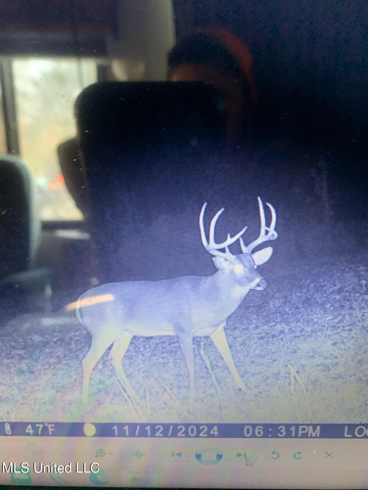 Hogfoot Road Senatobia, MS 38668 - Photo 19 of 145 295946