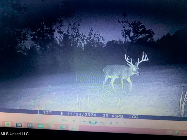 $2,541,000 | Hogfoot Road, Senatobia, MS 38668