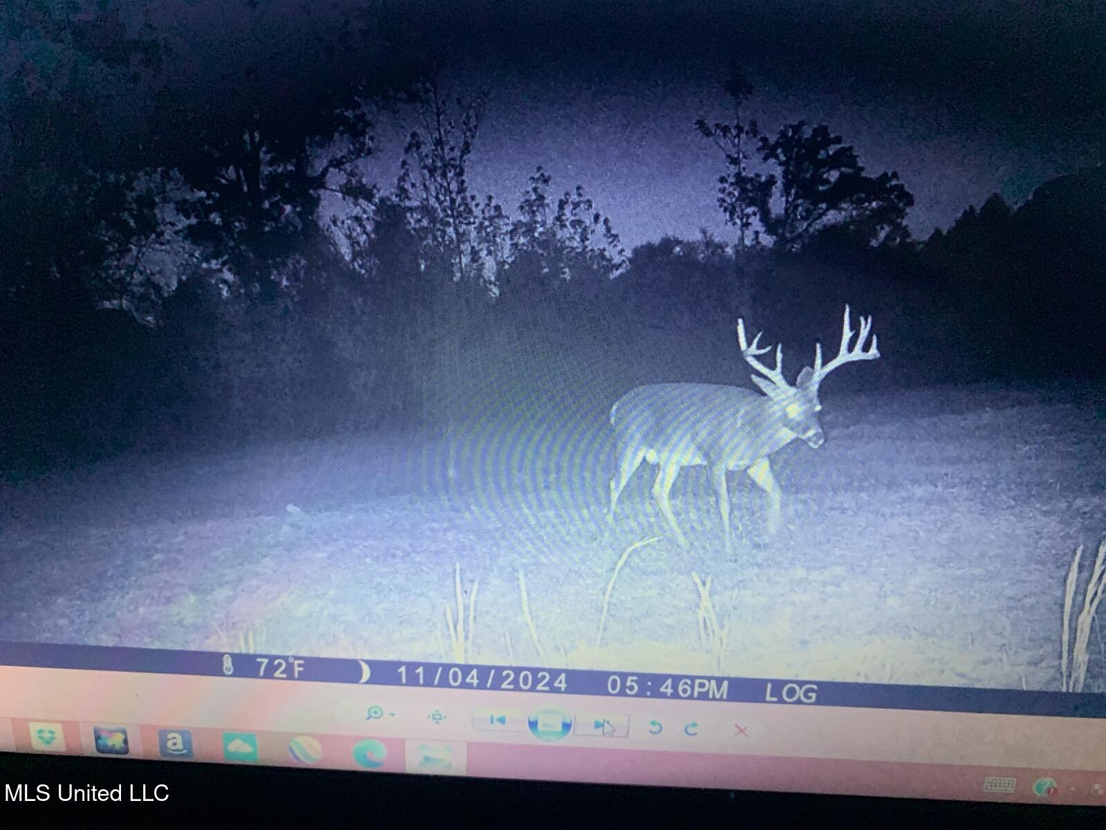 Hogfoot Road Senatobia, MS 38668 - Photo 20 of 145 295949