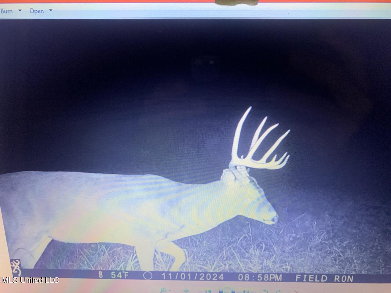 Hogfoot Road Senatobia, MS 38668 - Photo 21 of 145 295952