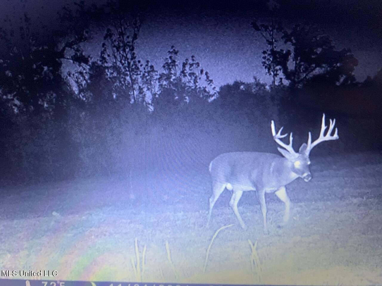 Hogfoot Road Senatobia, MS 38668 - Photo 22 of 145 295954