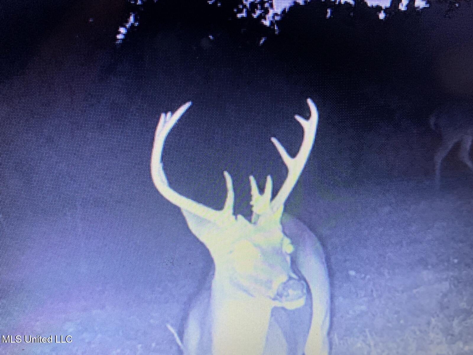 Hogfoot Road Senatobia, MS 38668 - Photo 23 of 145 295959