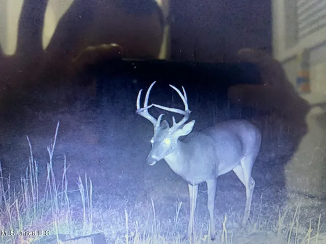 $2,541,000 | Hogfoot Road, Senatobia, MS 38668