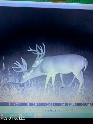 $2,541,000 | Hogfoot Road, Senatobia, MS 38668