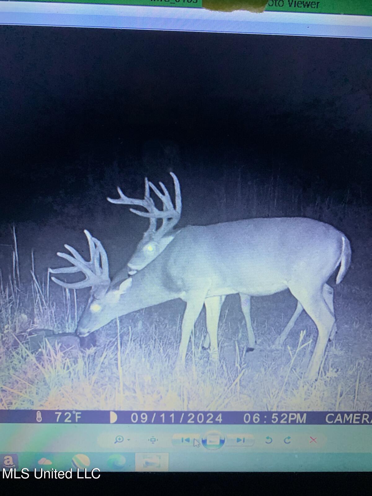 Hogfoot Road Senatobia, MS 38668 - Photo 28 of 145 295970