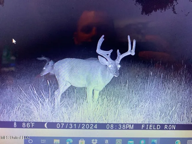 $2,541,000 | Hogfoot Road, Senatobia, MS 38668