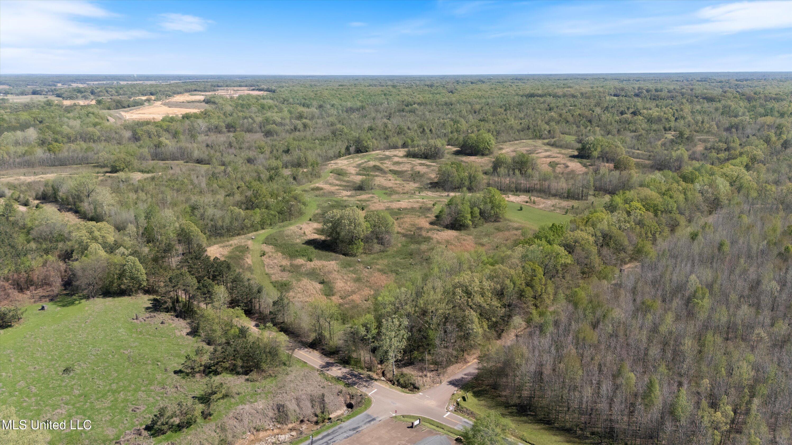Hogfoot Road Senatobia, MS 38668 - Photo 3 of 145 03-DJI_20250407150529_0070_D copy