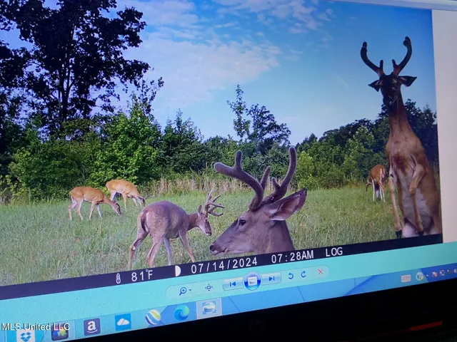 $2,541,000 | Hogfoot Road, Senatobia, MS 38668