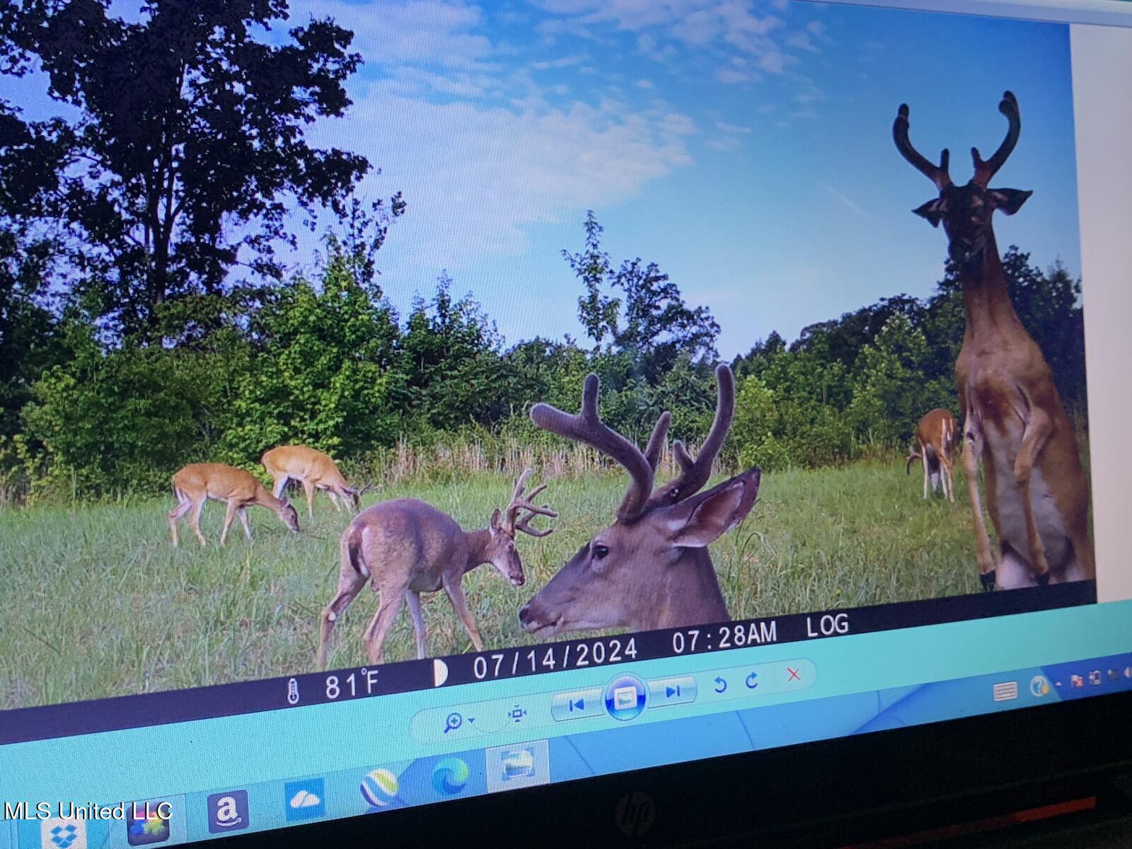 Hogfoot Road Senatobia, MS 38668 - Photo 32 of 145 295980