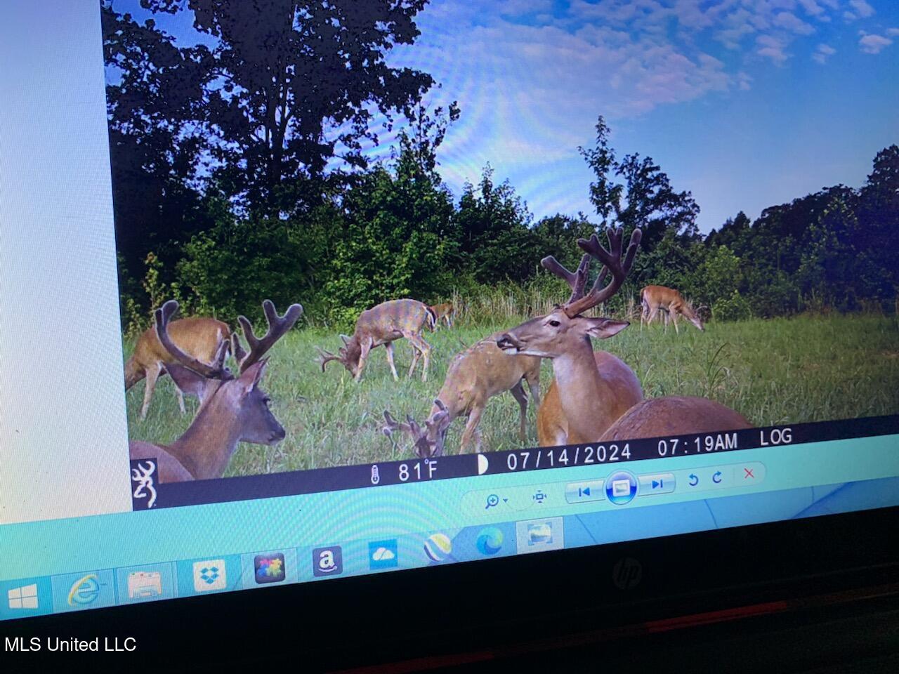 Hogfoot Road Senatobia, MS 38668 - Photo 33 of 145 295982