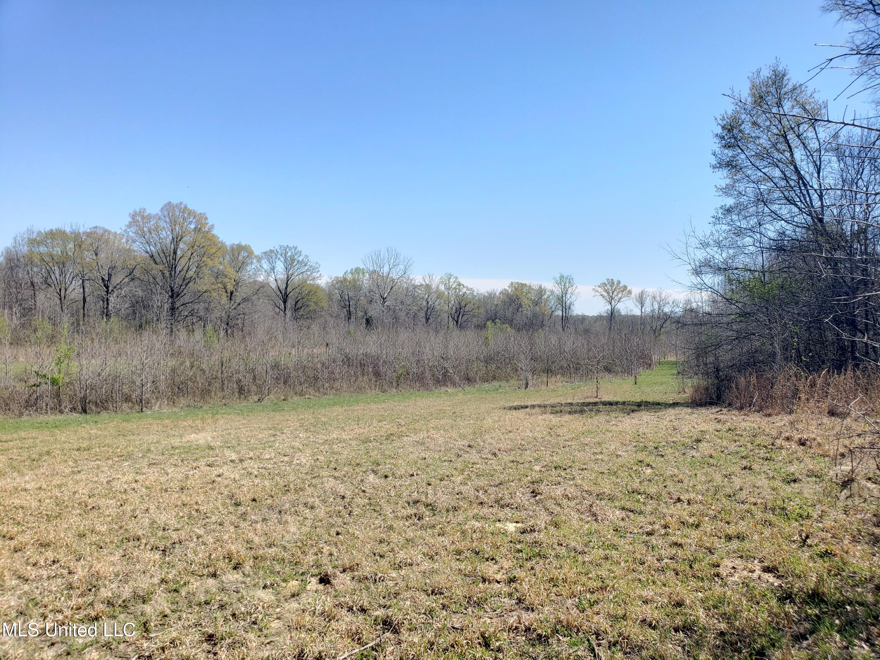 Hogfoot Road Senatobia, MS 38668 - Photo 34 of 145 20250326_144843