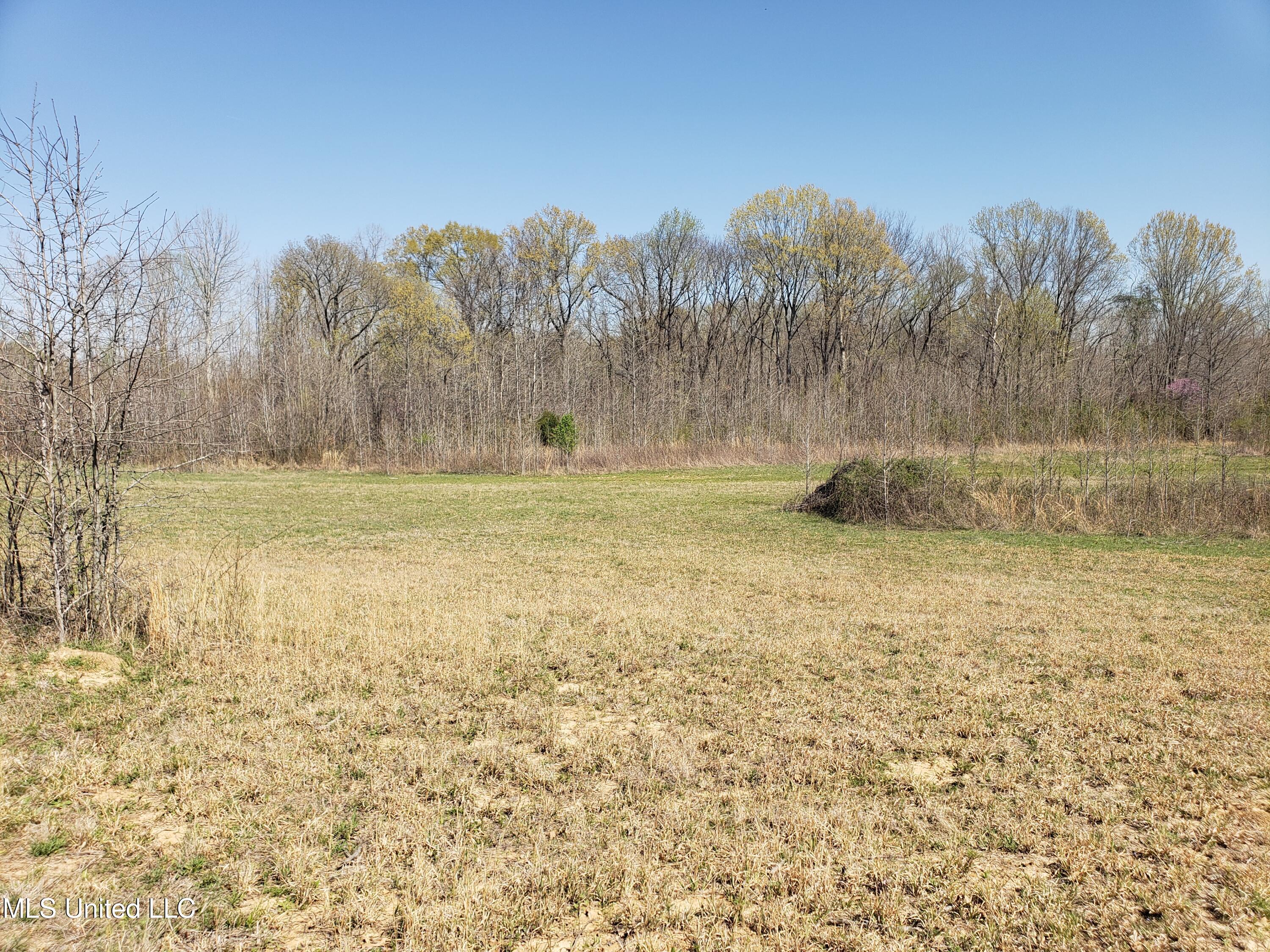 Hogfoot Road Senatobia, MS 38668 - Photo 35 of 145 20250326_144846