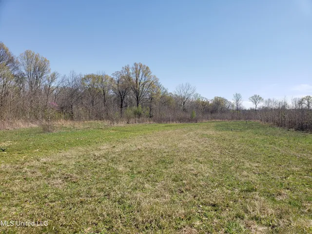 $2,541,000 | Hogfoot Road, Senatobia, MS 38668