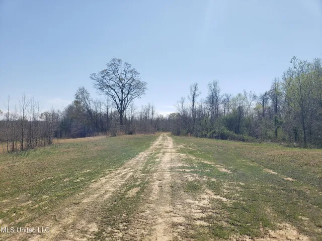 $2,541,000 | Hogfoot Road, Senatobia, MS 38668