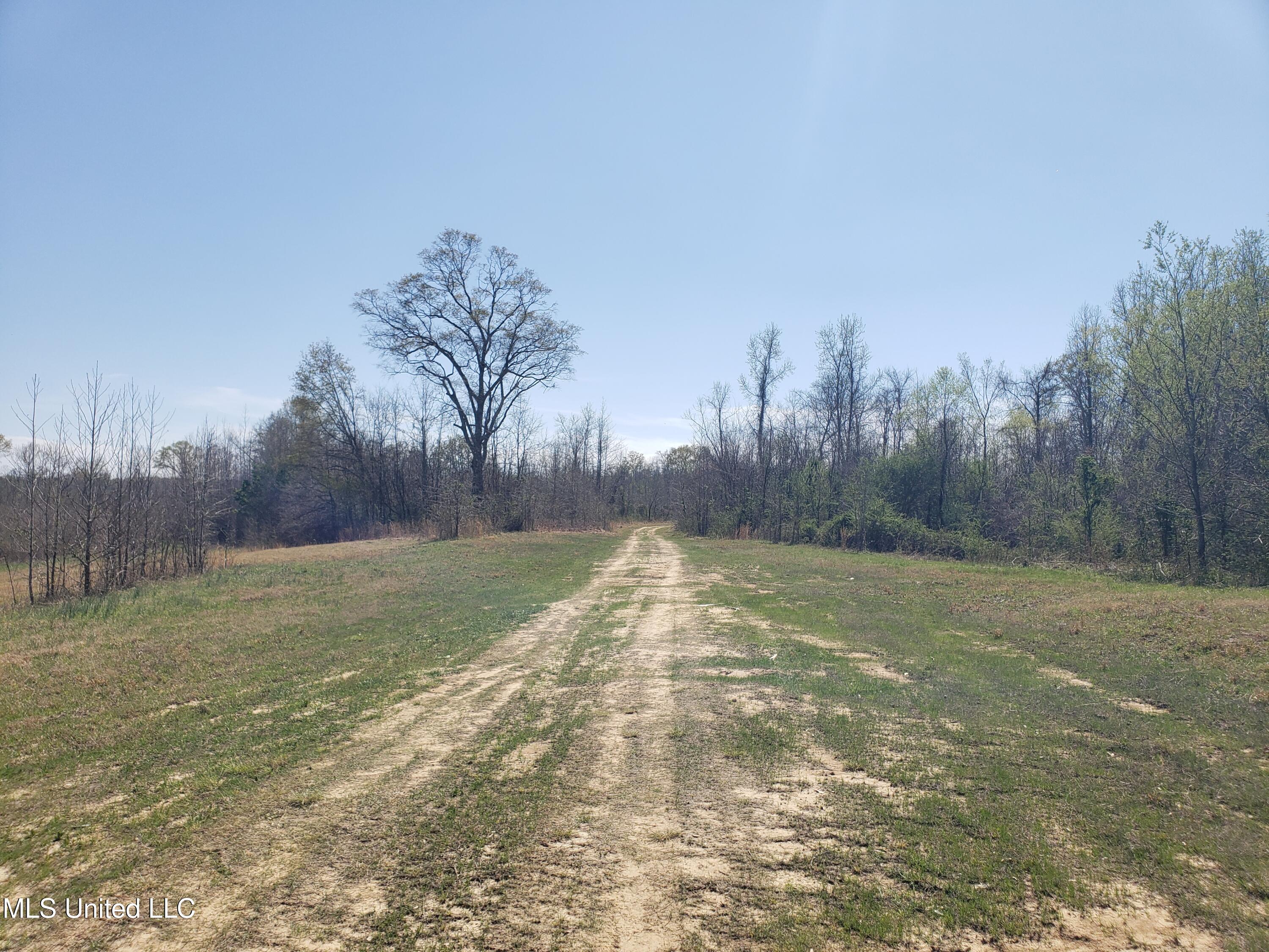 Hogfoot Road Senatobia, MS 38668 - Photo 38 of 145 20250326_145118