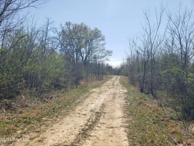 $2,541,000 | Hogfoot Road, Senatobia, MS 38668