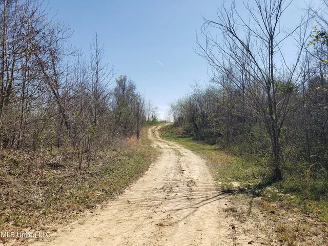 $2,541,000 | Hogfoot Road, Senatobia, MS 38668