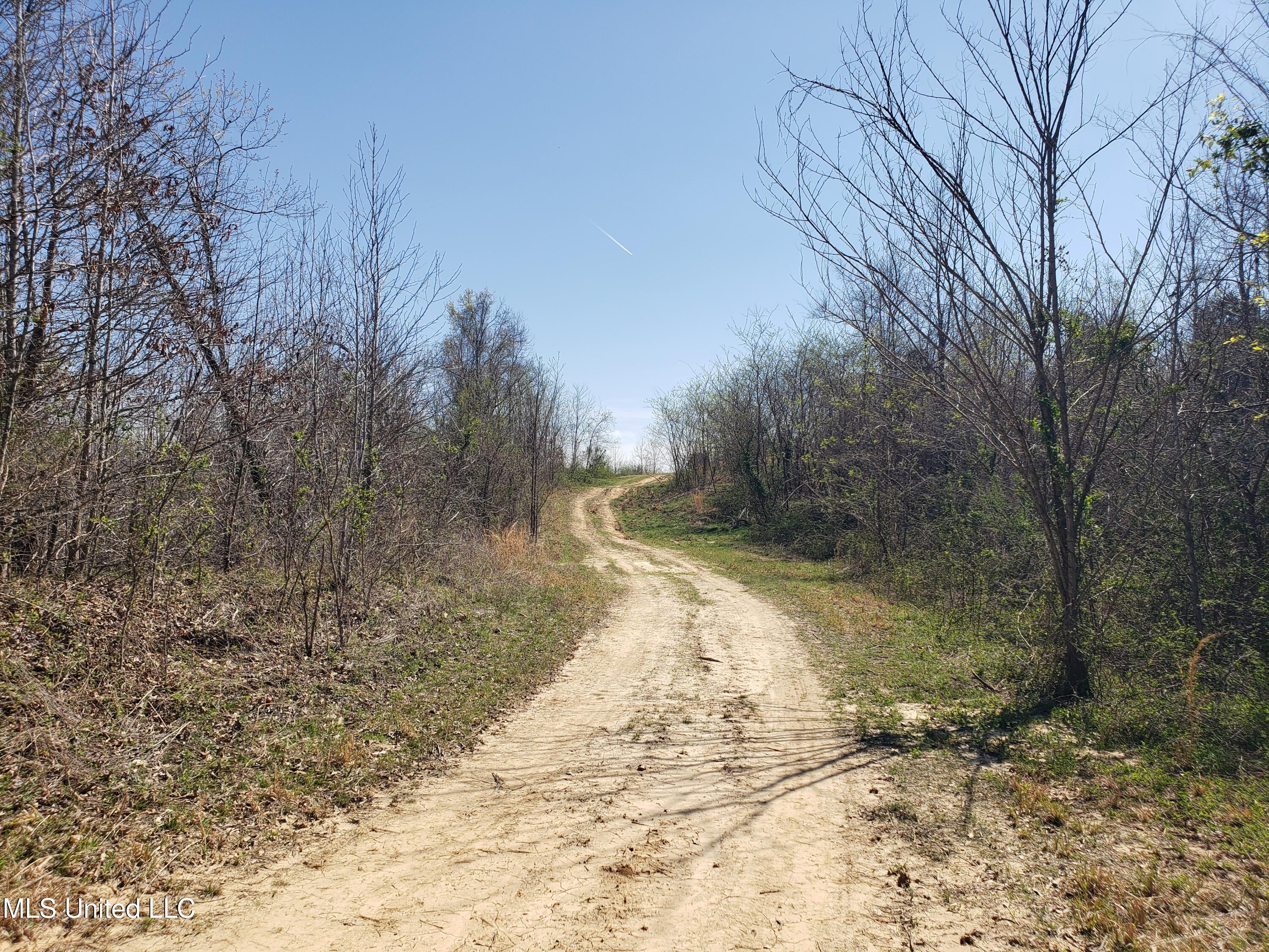 Hogfoot Road Senatobia, MS 38668 - Photo 40 of 145 20250326_145617