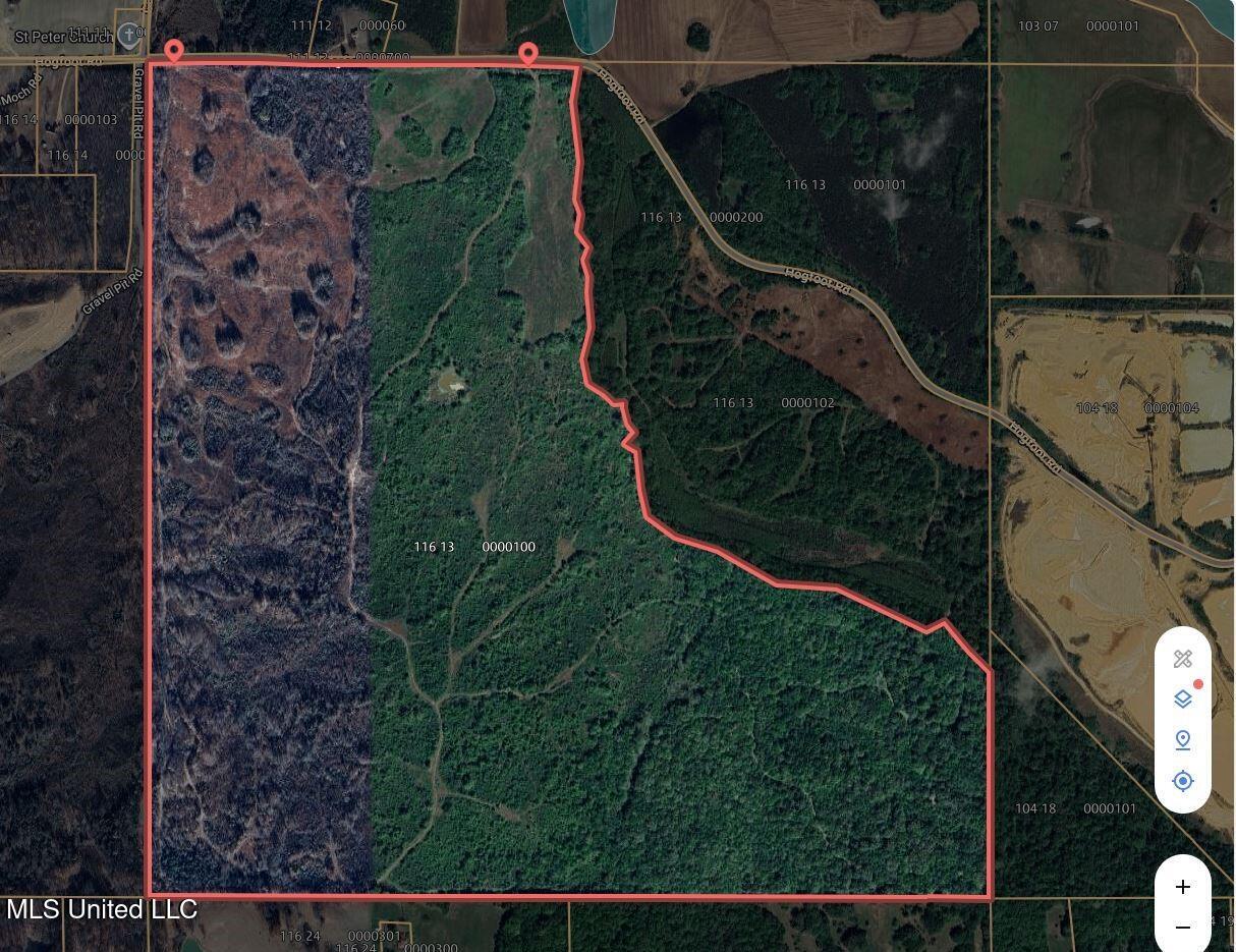 Hogfoot Road Senatobia, MS 38668 - Photo 4 of 145 Aerial View