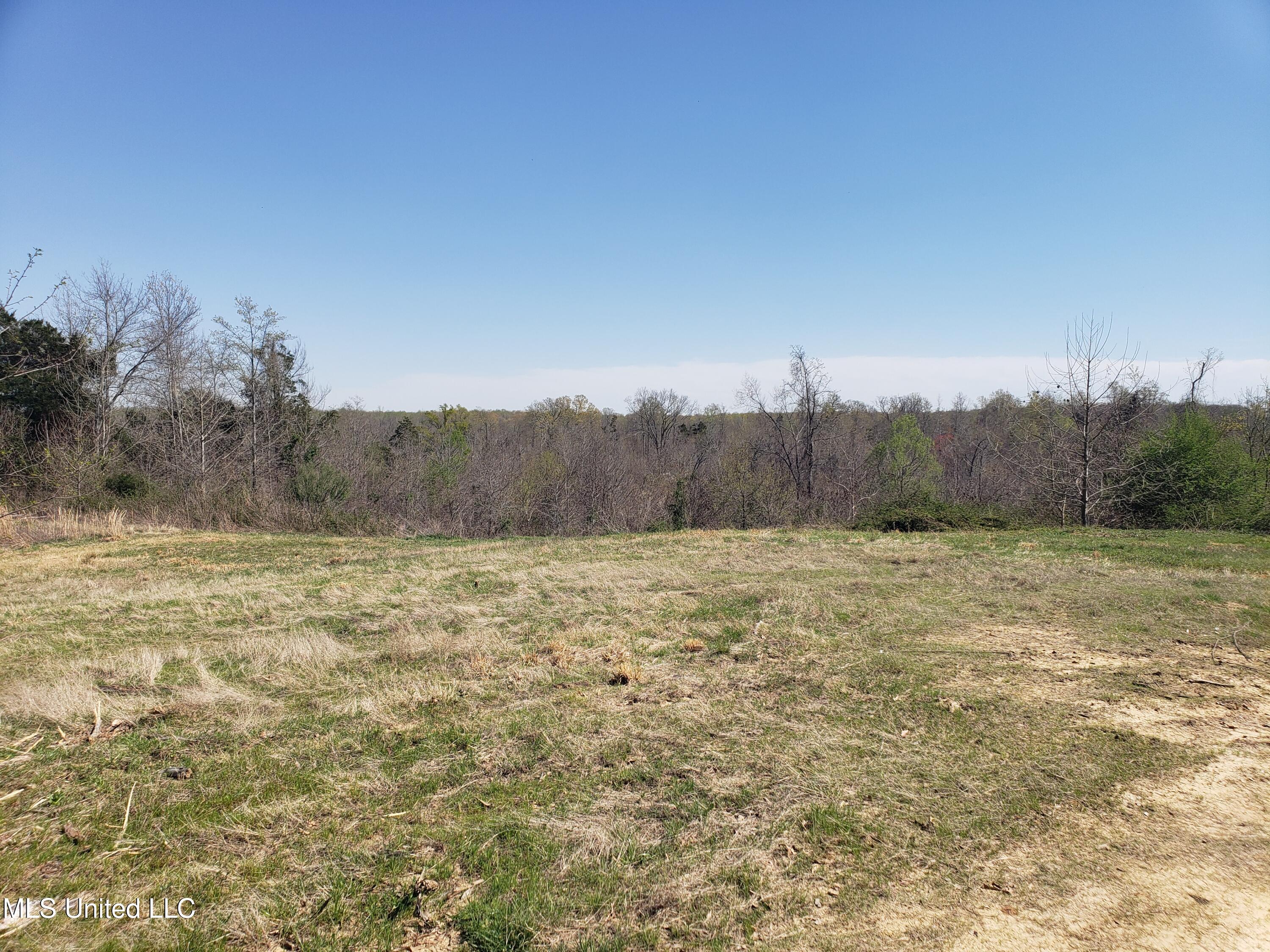 Hogfoot Road Senatobia, MS 38668 - Photo 41 of 145 20250326_145718