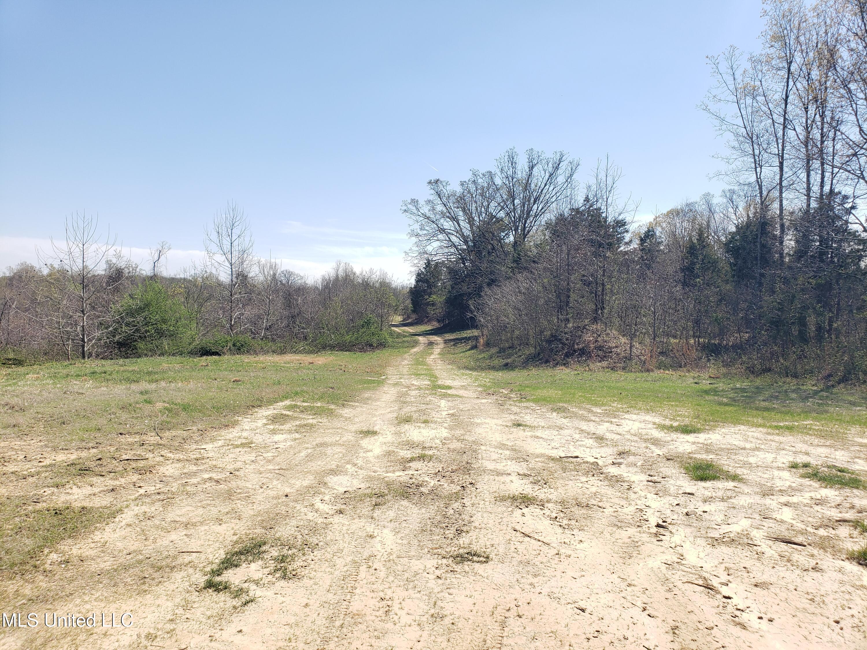 Hogfoot Road Senatobia, MS 38668 - Photo 42 of 145 20250326_145722