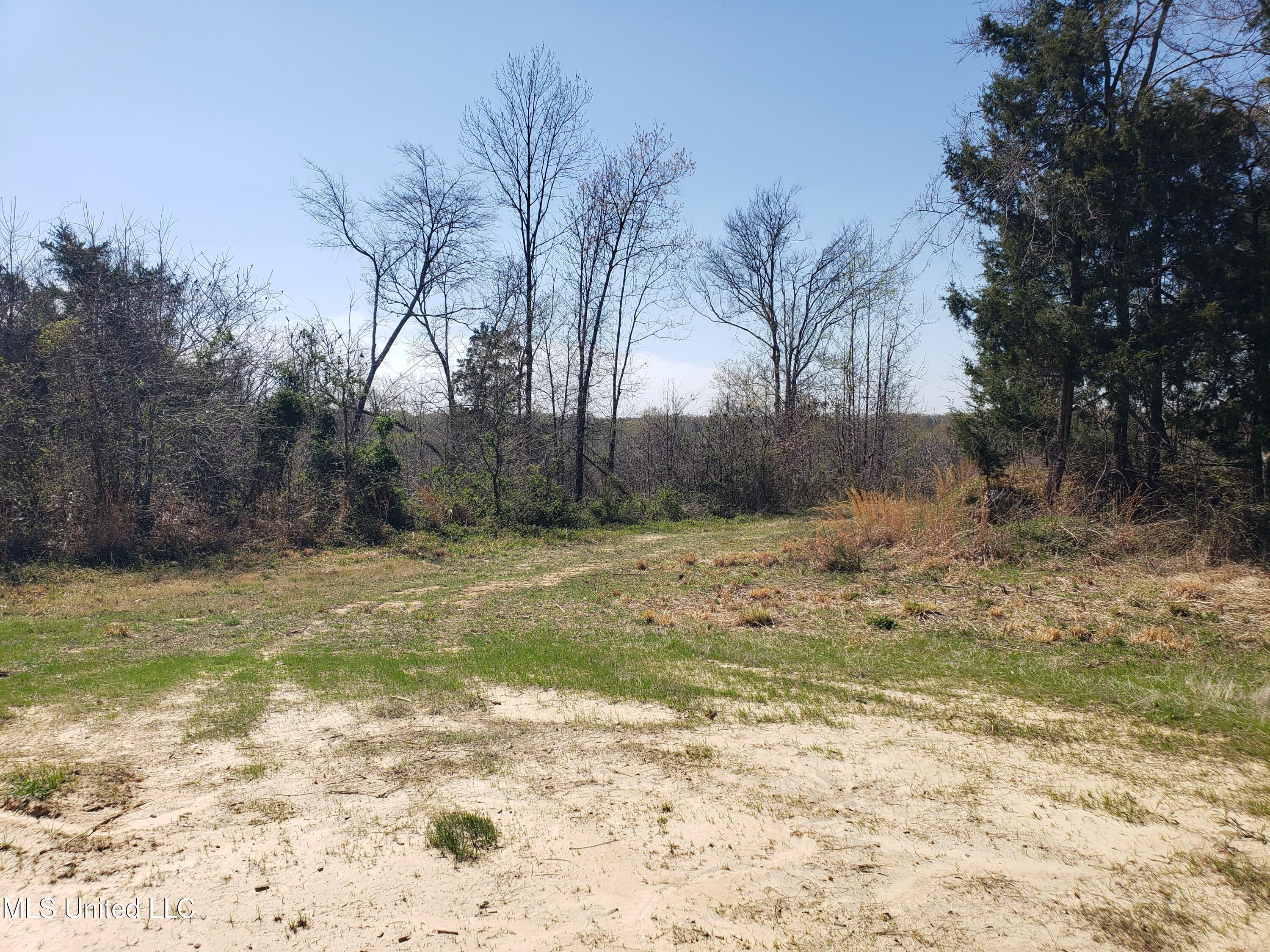 Hogfoot Road Senatobia, MS 38668 - Photo 43 of 145 20250326_145725