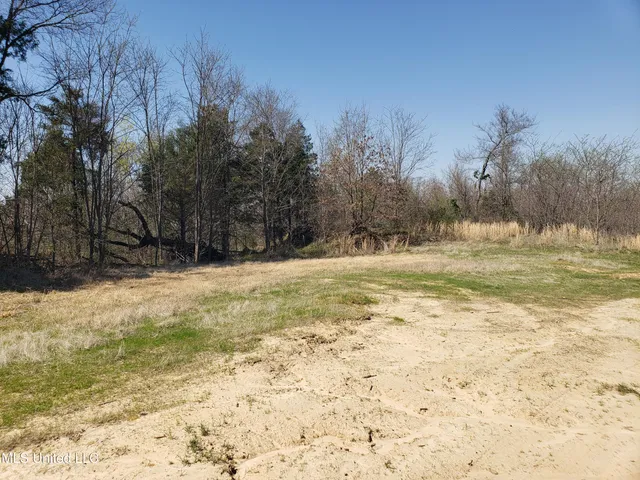 $2,541,000 | Hogfoot Road, Senatobia, MS 38668