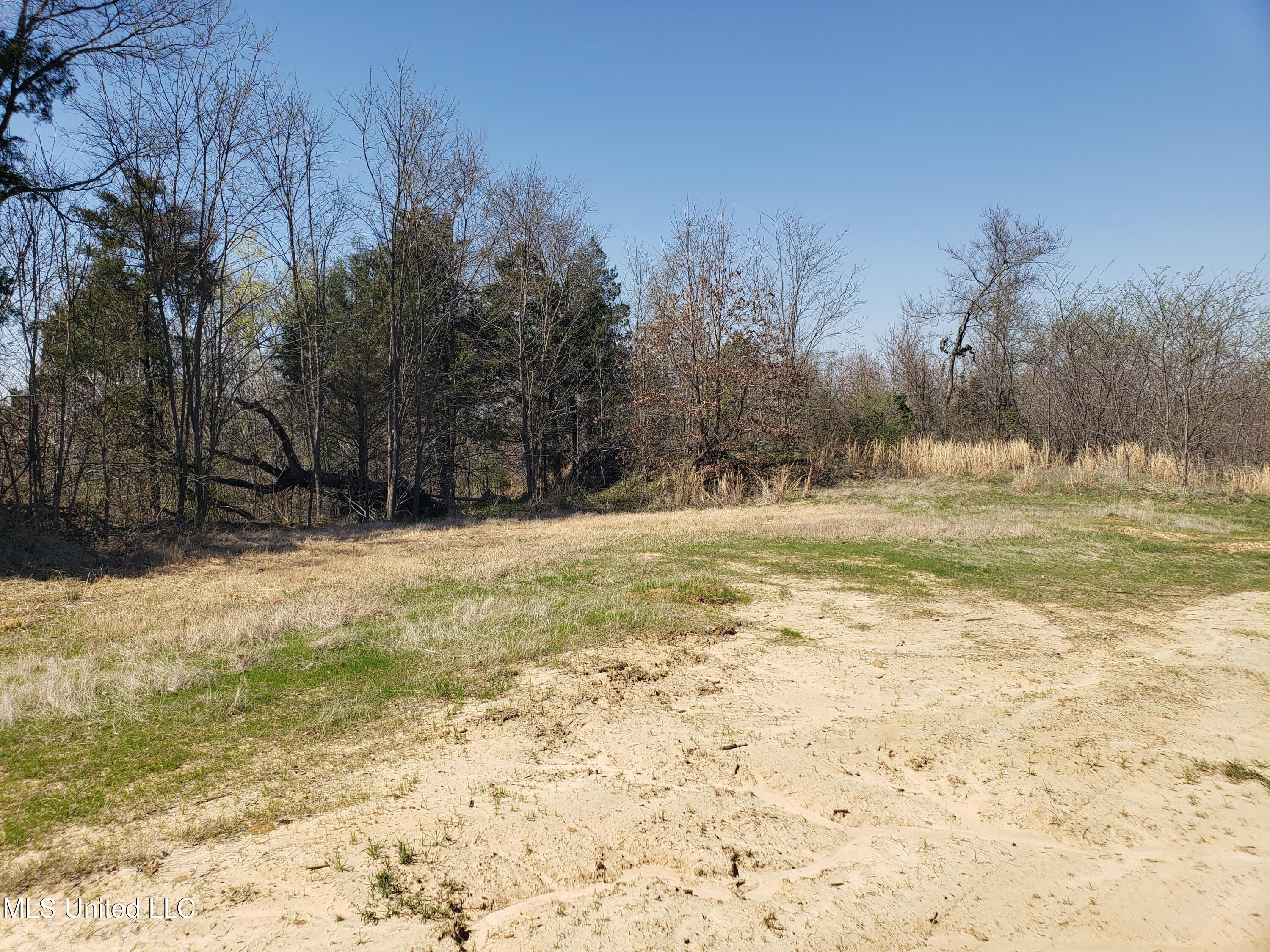 Hogfoot Road Senatobia, MS 38668 - Photo 44 of 145 20250326_145728