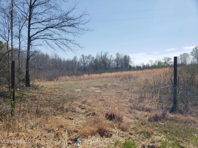 $2,541,000 | Hogfoot Road, Senatobia, MS 38668