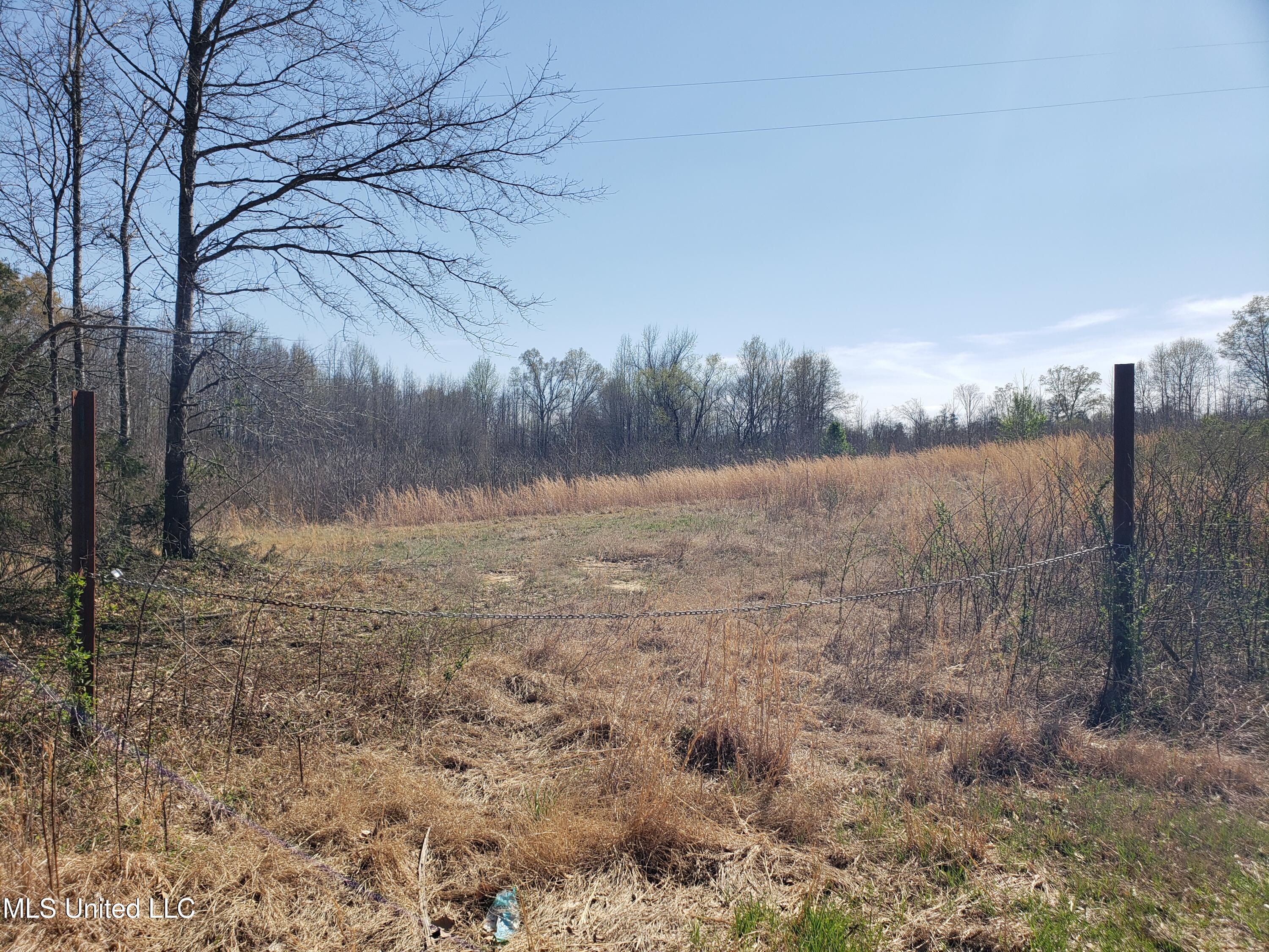 Hogfoot Road Senatobia, MS 38668 - Photo 45 of 145 20250326_150123