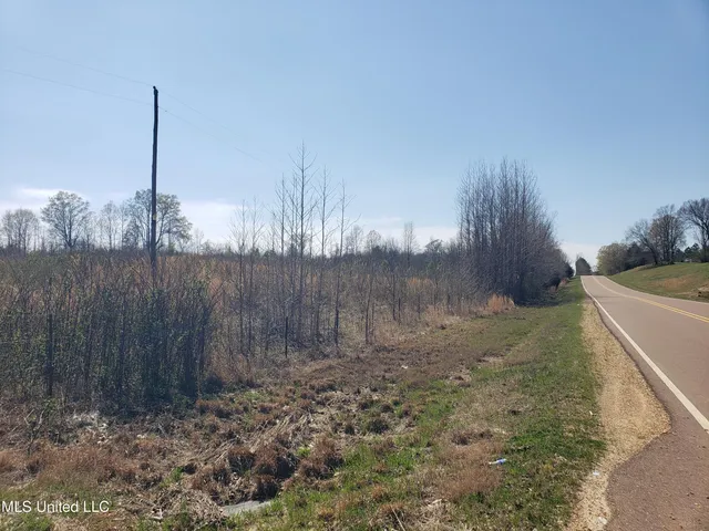 $2,541,000 | Hogfoot Road, Senatobia, MS 38668