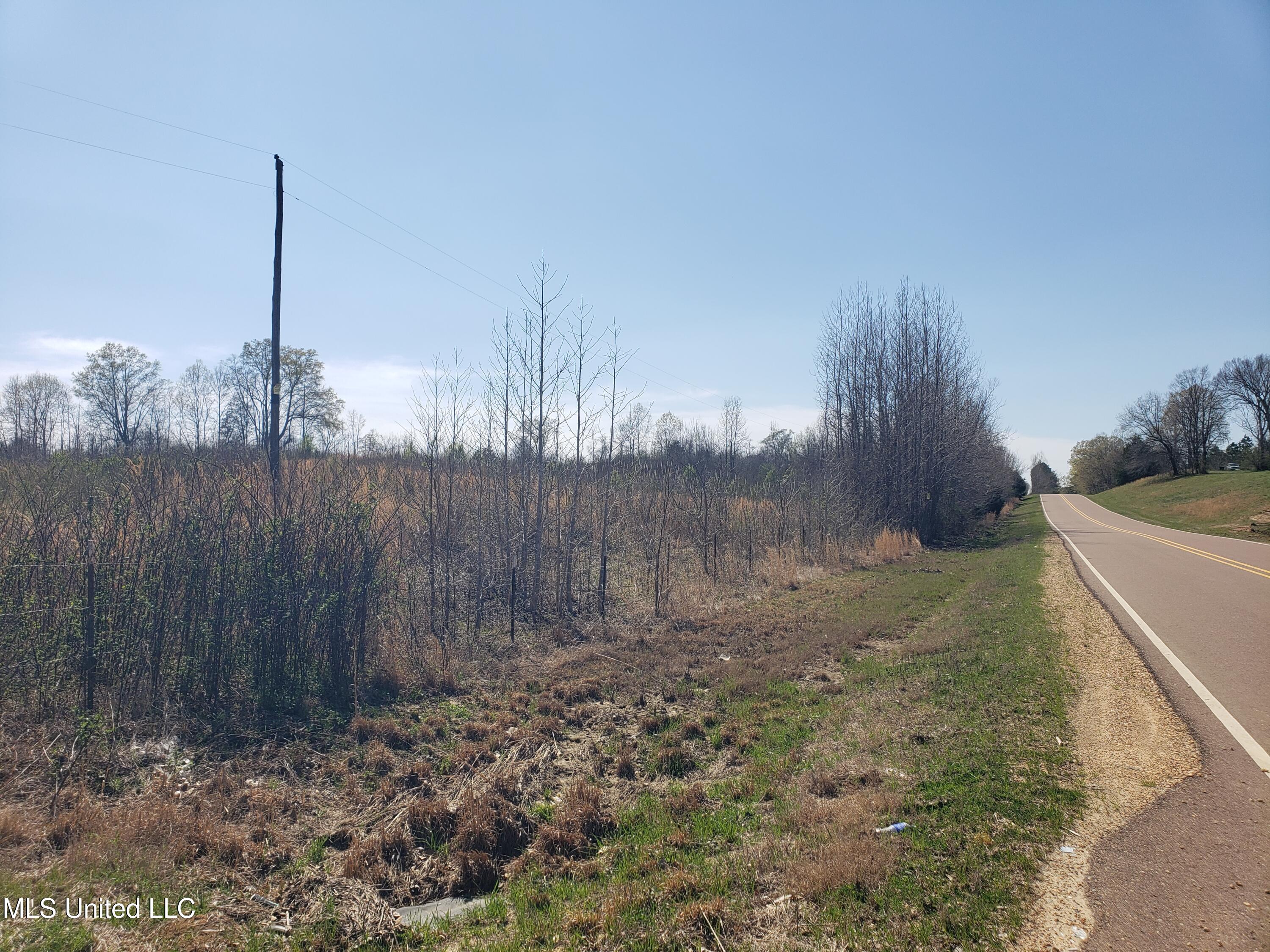 Hogfoot Road Senatobia, MS 38668 - Photo 46 of 145 20250326_150129