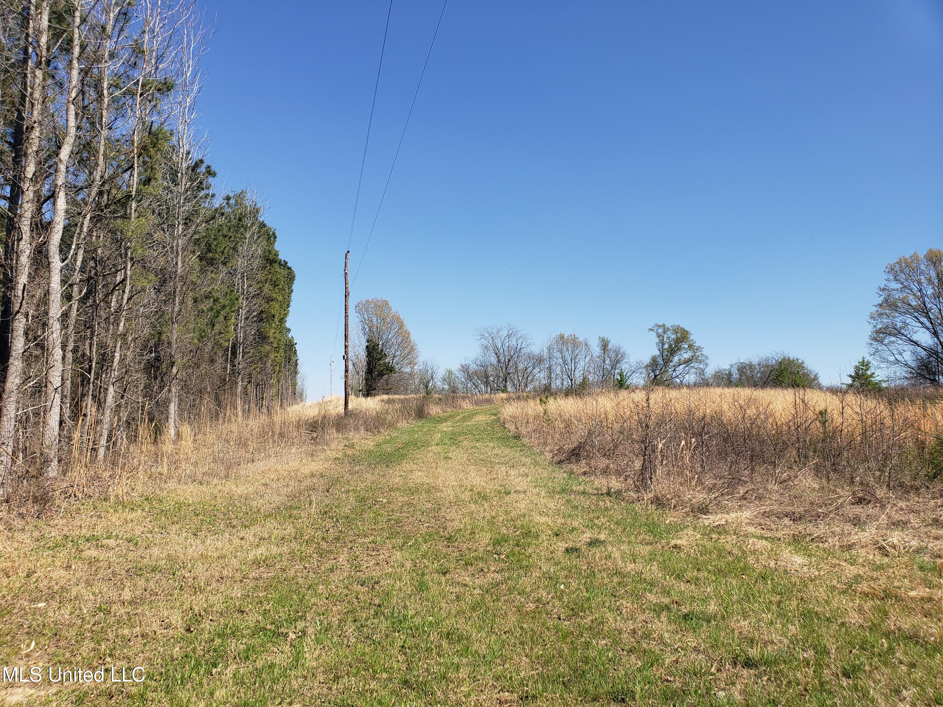 Hogfoot Road Senatobia, MS 38668 - Photo 47 of 145 20250326_150346
