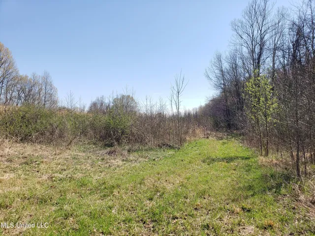 $2,541,000 | Hogfoot Road, Senatobia, MS 38668