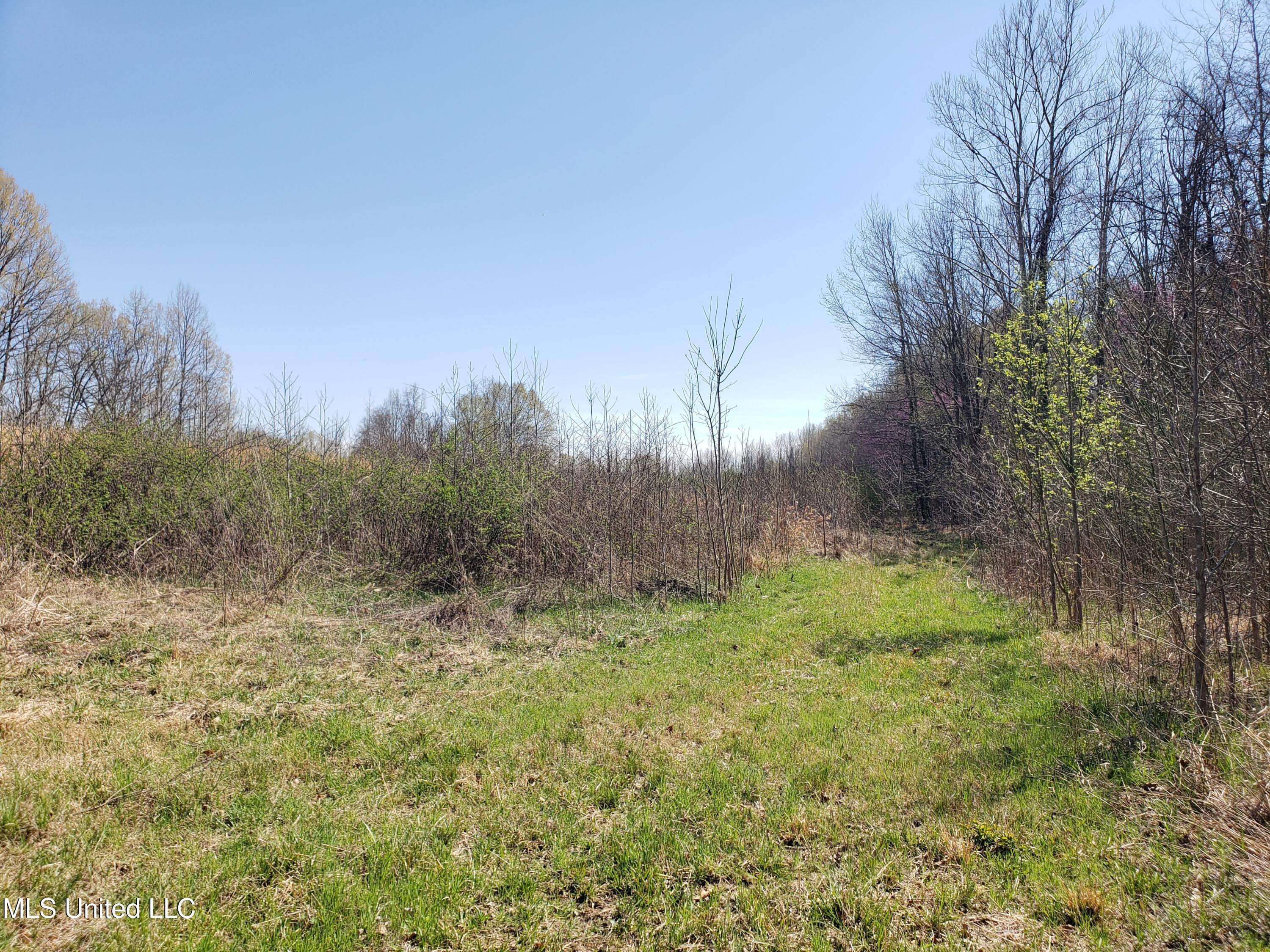 Hogfoot Road Senatobia, MS 38668 - Photo 48 of 145 20250326_150350