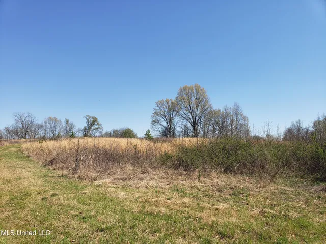 $2,541,000 | Hogfoot Road, Senatobia, MS 38668