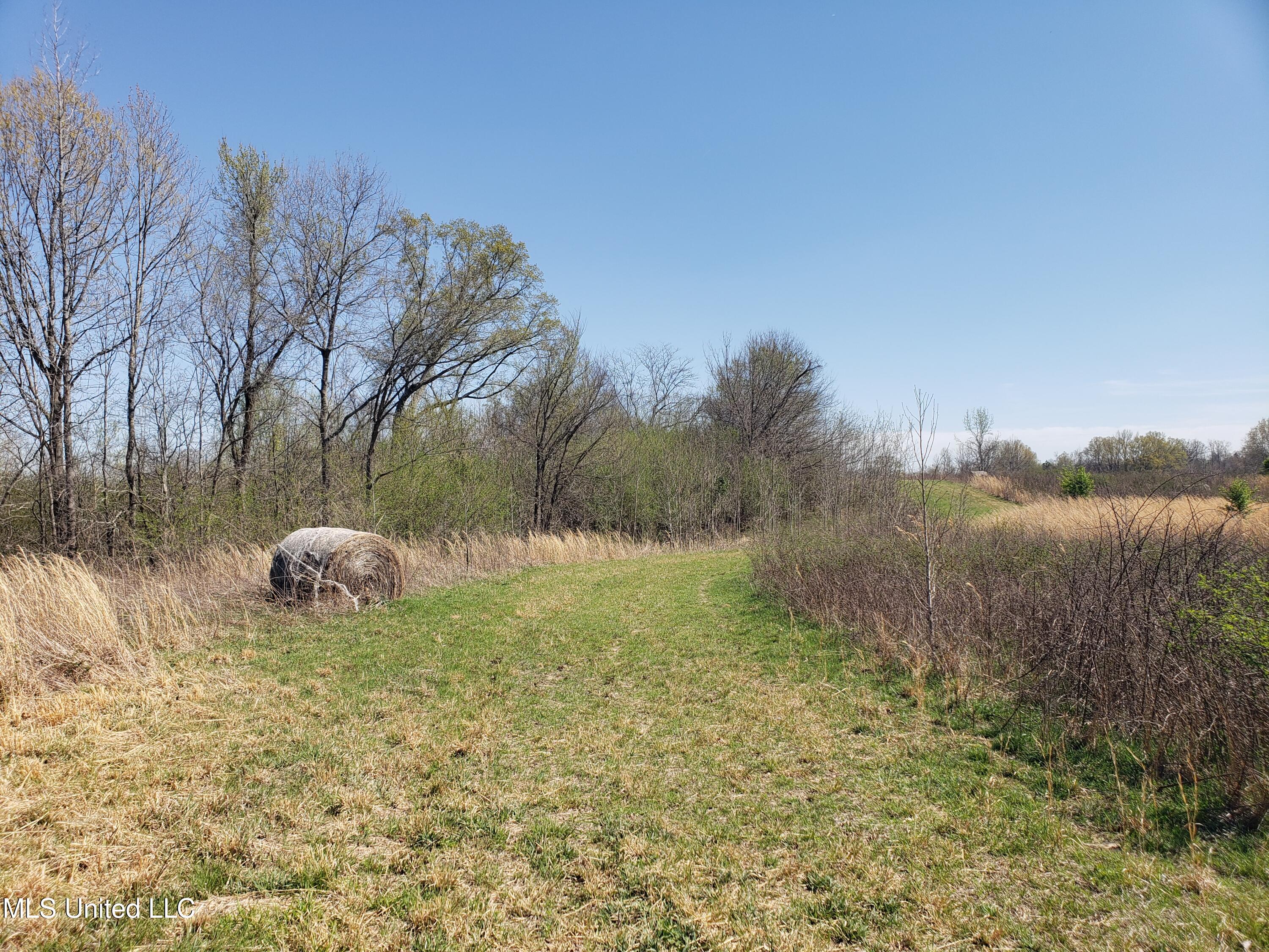 Hogfoot Road Senatobia, MS 38668 - Photo 50 of 145 20250326_150445