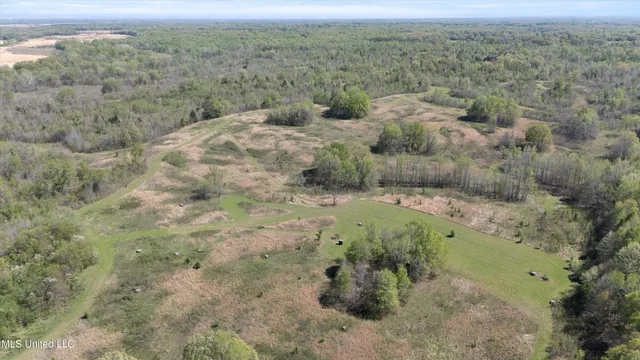 $2,541,000 | Hogfoot Road, Senatobia, MS 38668