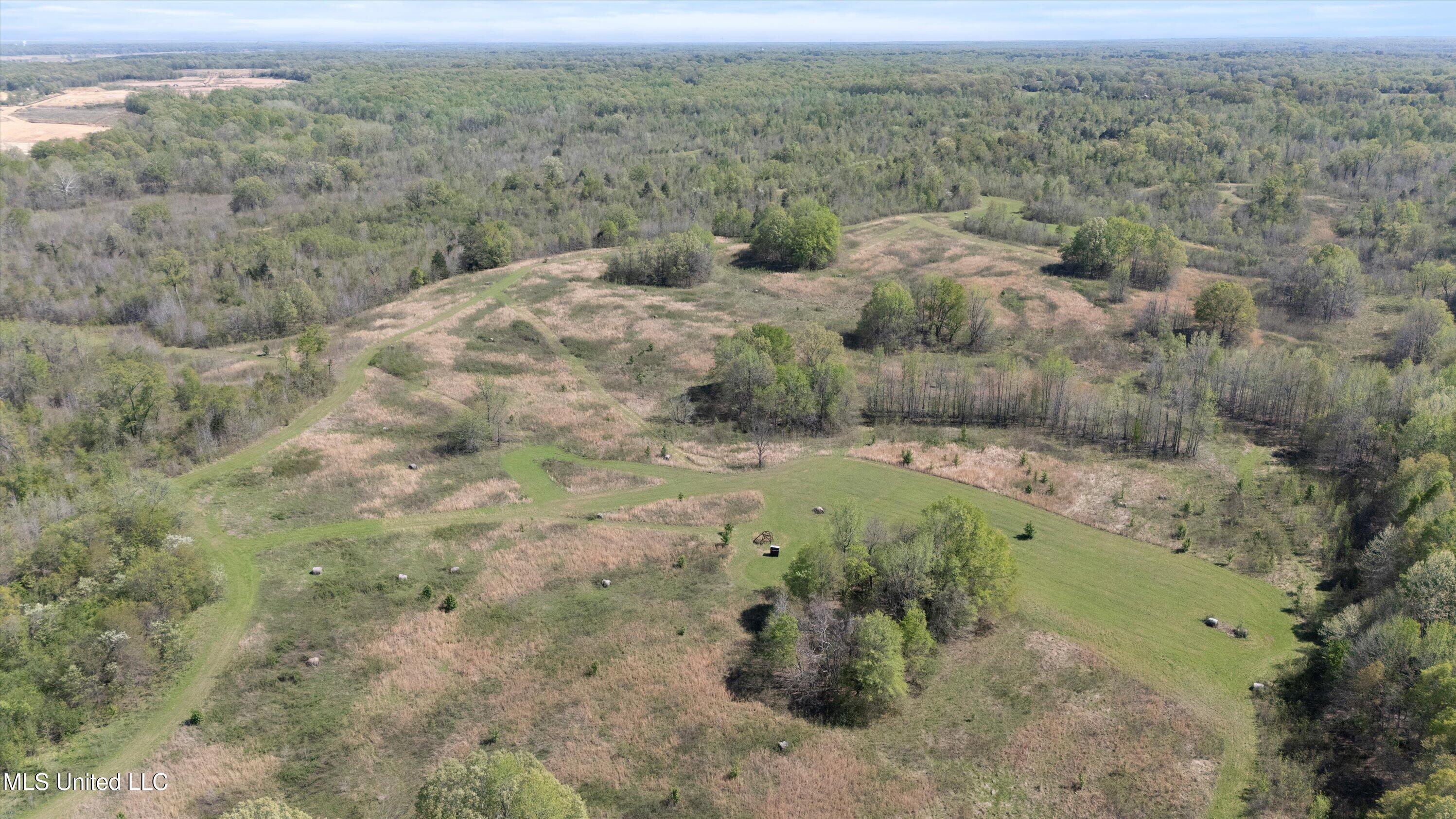 Hogfoot Road Senatobia, MS 38668 - Photo 5 of 145 05-DJI_20250407150638_0077_D