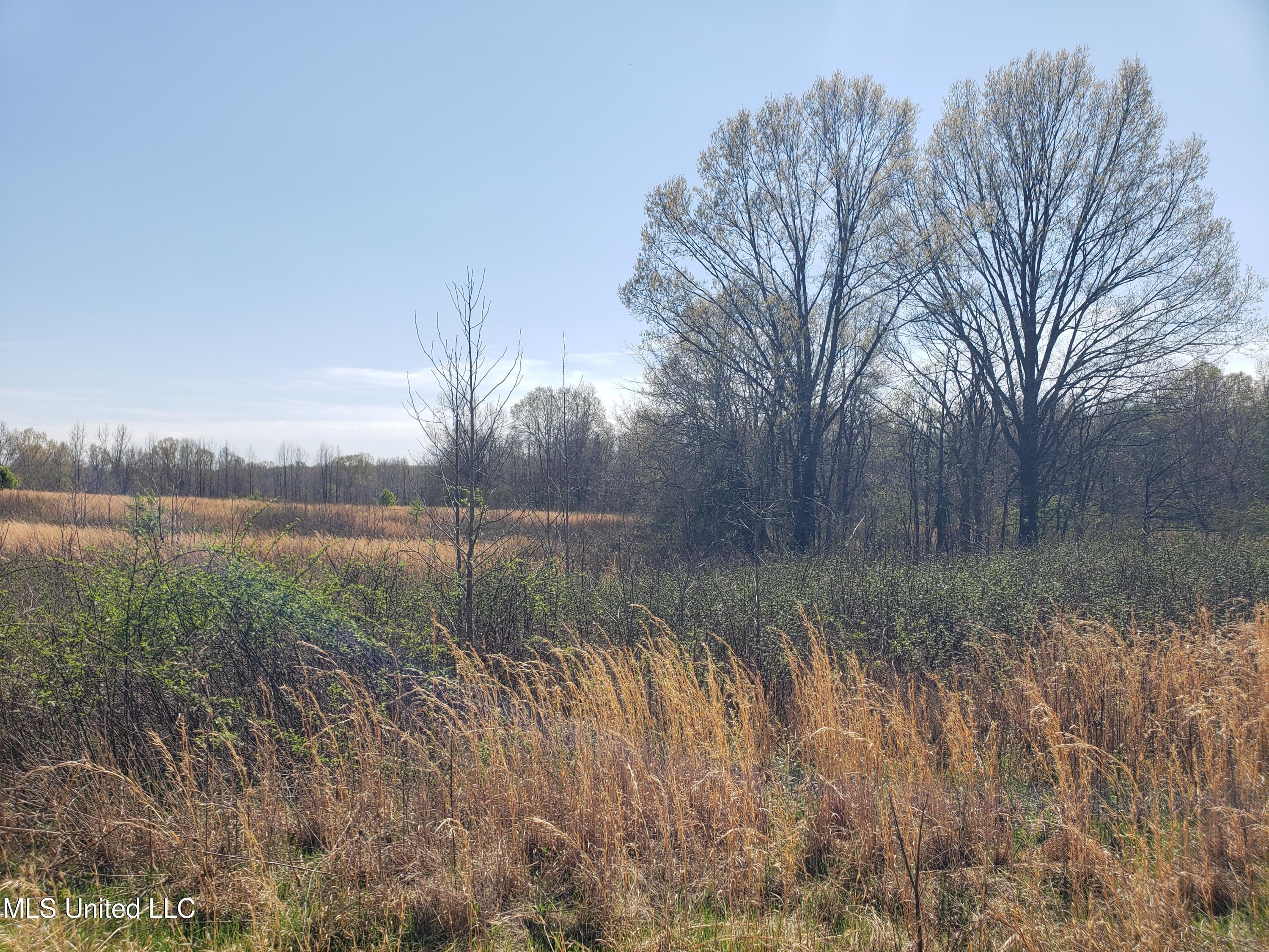 Hogfoot Road Senatobia, MS 38668 - Photo 51 of 145 20250326_150449