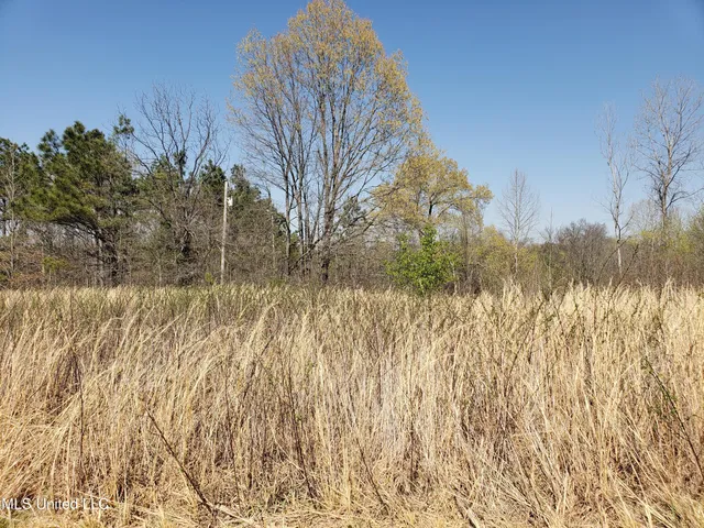 $2,541,000 | Hogfoot Road, Senatobia, MS 38668