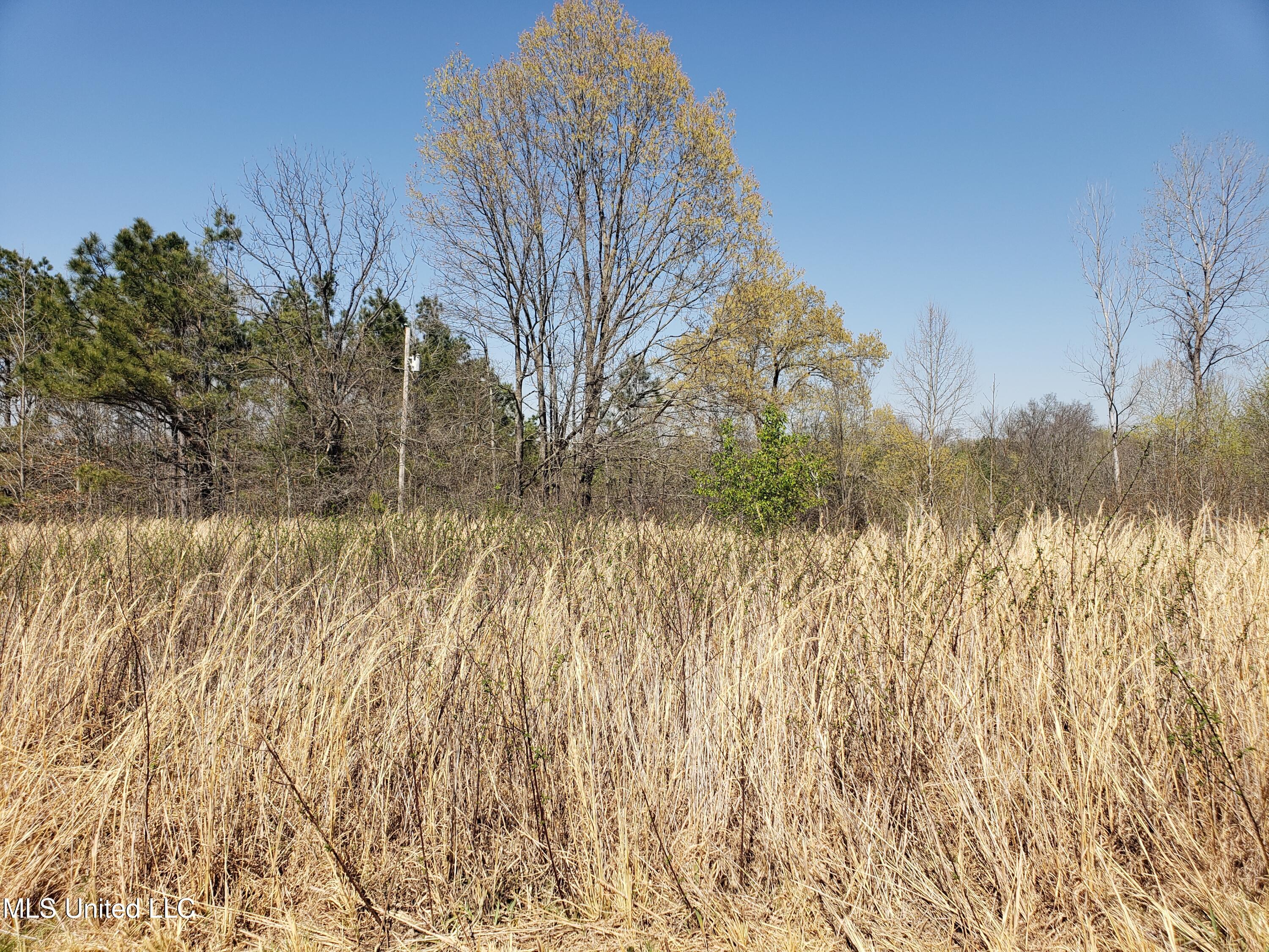 Hogfoot Road Senatobia, MS 38668 - Photo 52 of 145 20250326_150453
