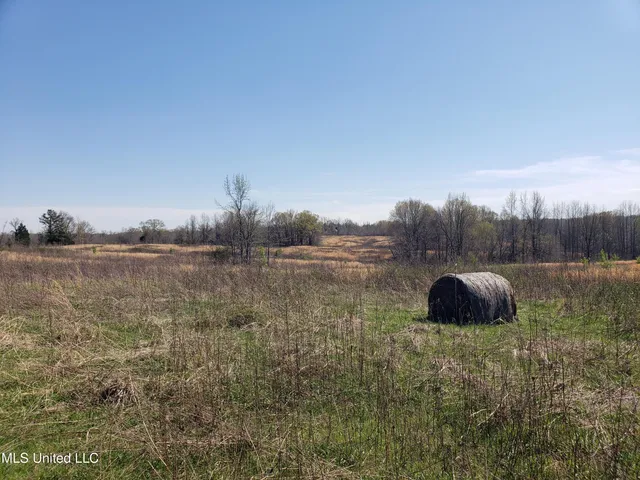 $2,541,000 | Hogfoot Road, Senatobia, MS 38668