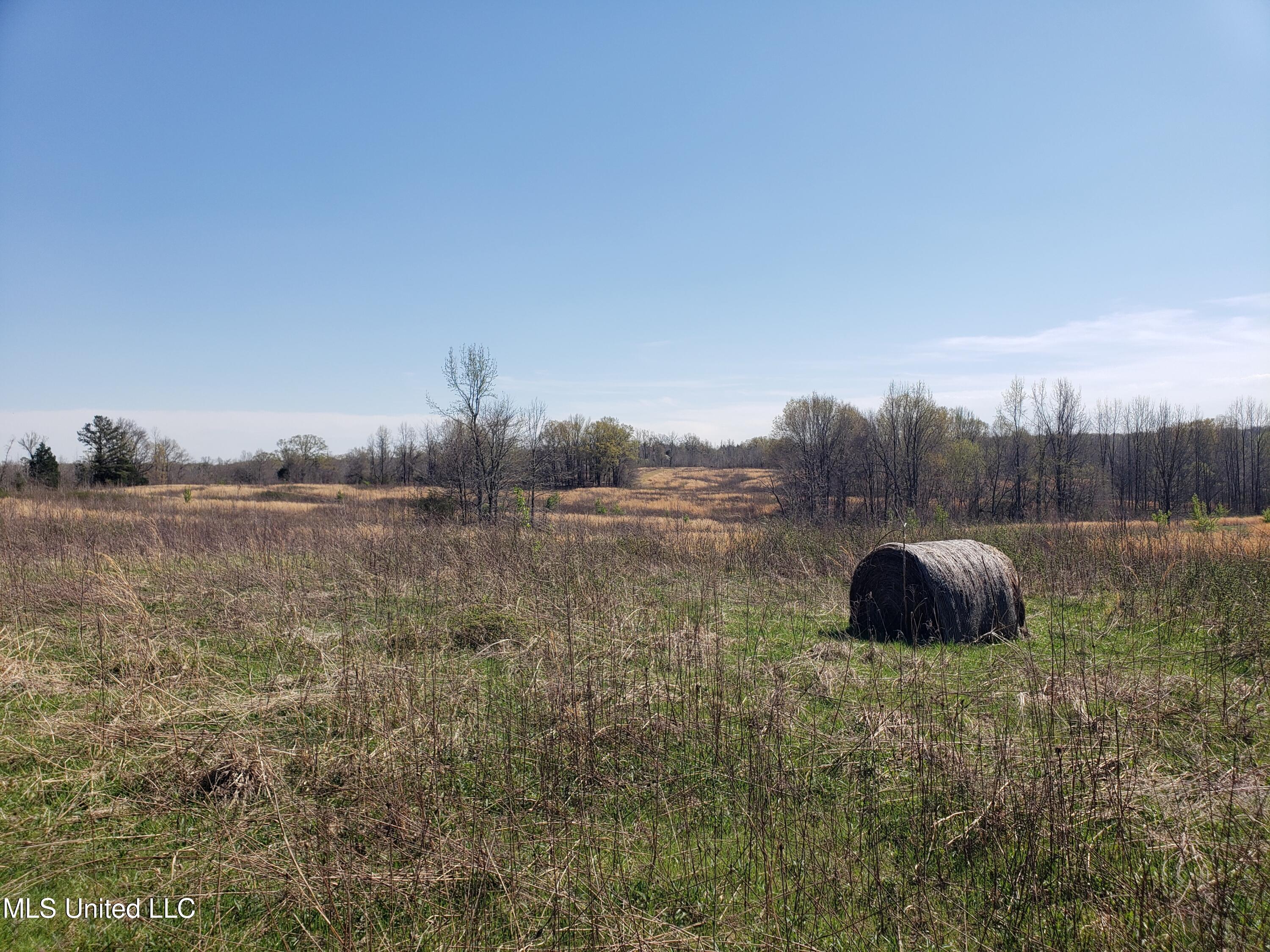 Hogfoot Road Senatobia, MS 38668 - Photo 53 of 145 20250326_150542