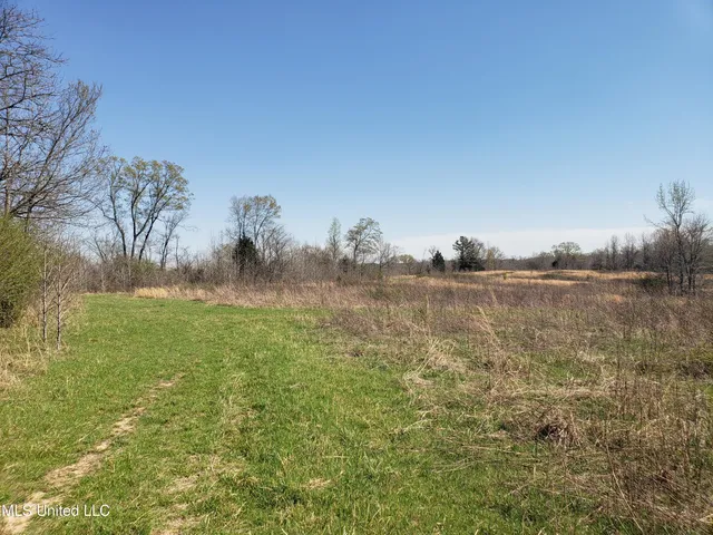 $2,541,000 | Hogfoot Road, Senatobia, MS 38668
