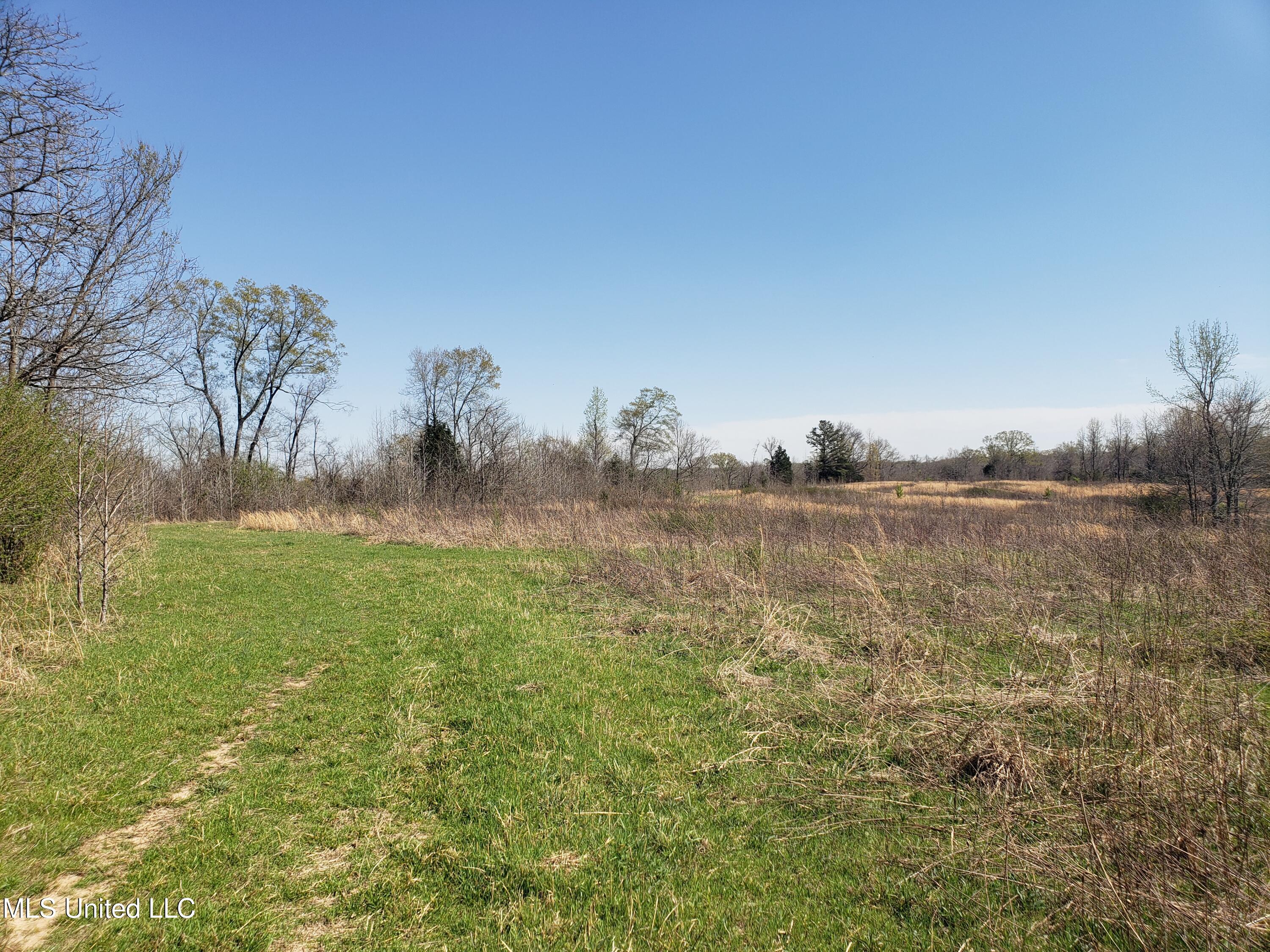Hogfoot Road Senatobia, MS 38668 - Photo 54 of 145 20250326_150546